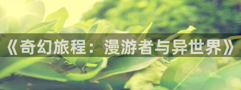 汗汗歪歪漫画首页：《奇幻旅程：漫游者与异世界》